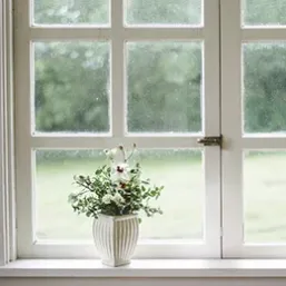 Bild: Fenster & Türen (Fenster und Türen  - Fensterbau & Glaserei Reich in Roth)