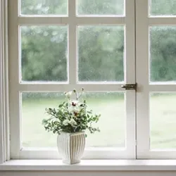Bild: Fenster & Haustüren (Fenster und Türen  - Fensterbau & Glaserei Reich in Roth)
